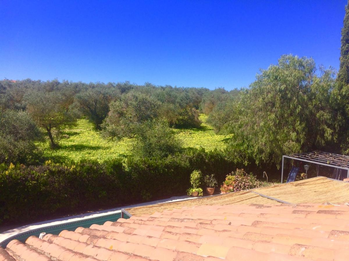 Villa Ferrer Sevilla Gines Bagian luar foto