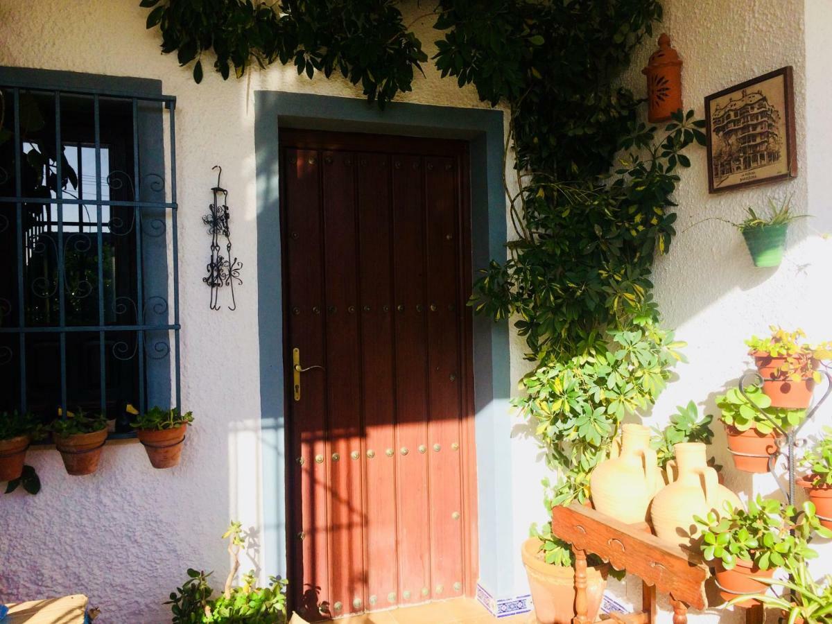 Villa Ferrer Sevilla Gines Bagian luar foto